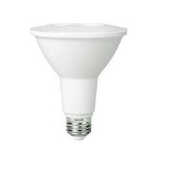 LED PAR30 Long Neck Bulb